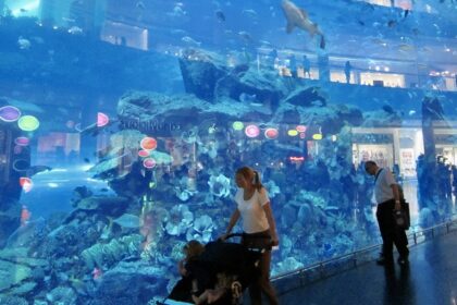 A popular aquarium Museum in Dubai that you can explore with your family and friends