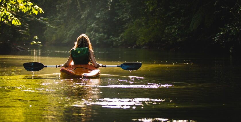 A serene experience of mangrove kayaking in Abu Dhabi, surrounded by lush green waterways