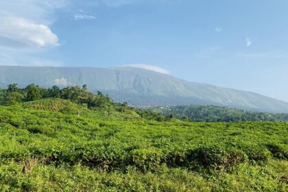Trek and enjoy picturesque views from Ngong hills, one of the must things to do in Cameroon