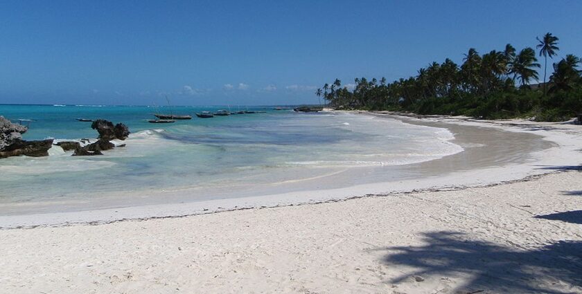 The beautiful beaches in Barbados offer crystal-clear waters and breathtaking landscapes.
