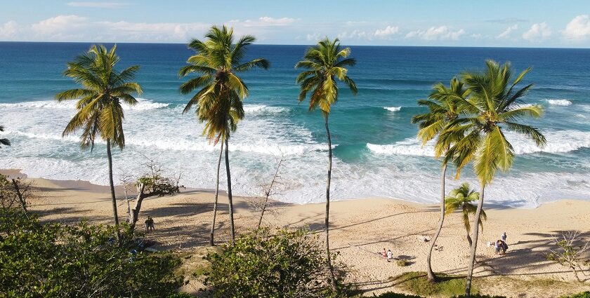 The stunning beaches in Samoa boast crystal-clear waters, golden sands, and lush coconut trees, offering a perfect tropical escape.