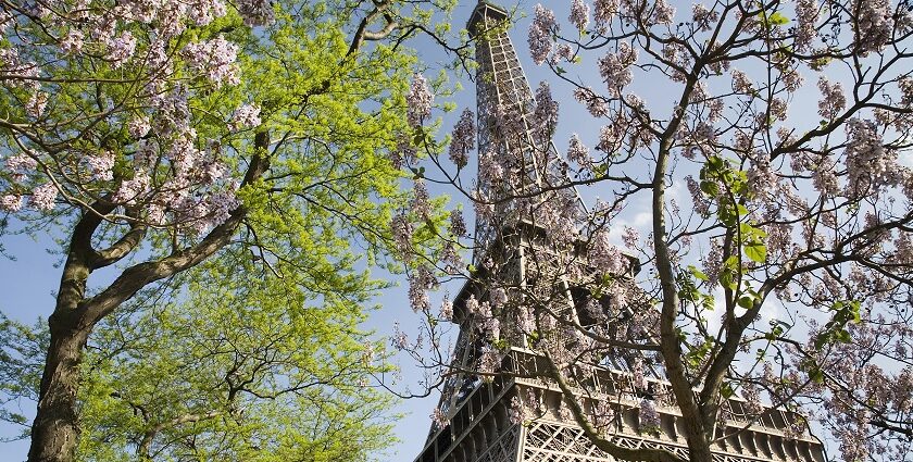 Explore places to visit in April in Europe with gardens, historic sites, and festivals.