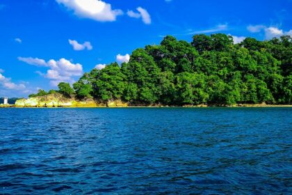 Scenic view of Havelock Island with a mangrove tree on the shore, Andaman Islands, India.