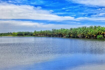 Explore this list of things of what to buy in Pondicherry, a complete shopping guide