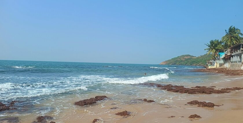 Anjuna Beach with golden sand and palm trees, among places to visit in Goa near Mapusa.