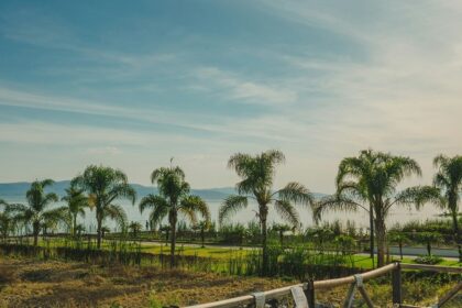 Scenic view of Lake Chapala, one of the best places to visit near Guadalajara.