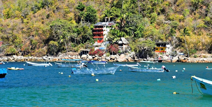 Yelapa beach cove with boats and palm trees, one of the best places to visit near Puerto Vallarta.