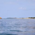 Snorkel with sea turtles at Carlisle Bay, top things to do in Barbados in January.