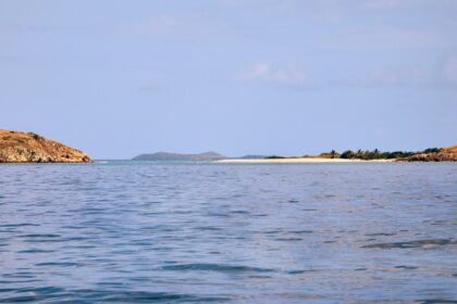 Snorkel with sea turtles at Carlisle Bay, top things to do in Barbados in January.