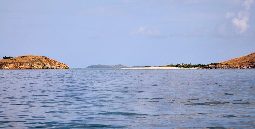 Snorkel with sea turtles at Carlisle Bay, top things to do in Barbados in January.