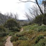 Explore a scenic hiking trail as one of the best adventurous things to do in Hawker.