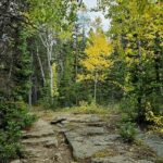 Explore the scenic trail at the Big Creek Nature Trail, one of the things to do in Hays KS.