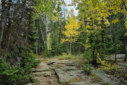 Explore the scenic trail at the Big Creek Nature Trail, one of the things to do in Hays KS.