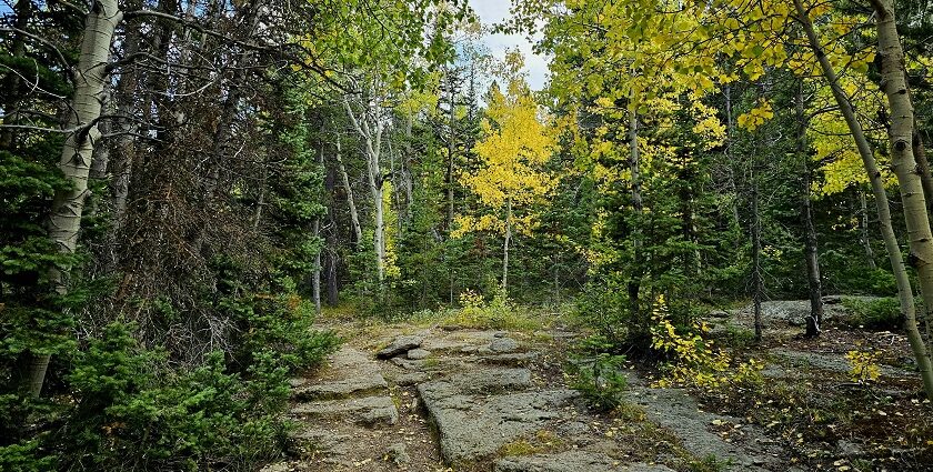 Explore the scenic trail at the Big Creek Nature Trail, one of the things to do in Hays KS.