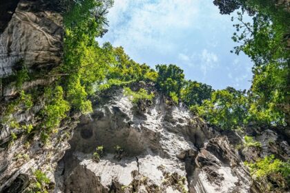 Exploring Gua Kelam cave is one of the most unique things to do in Kuala Perlis.