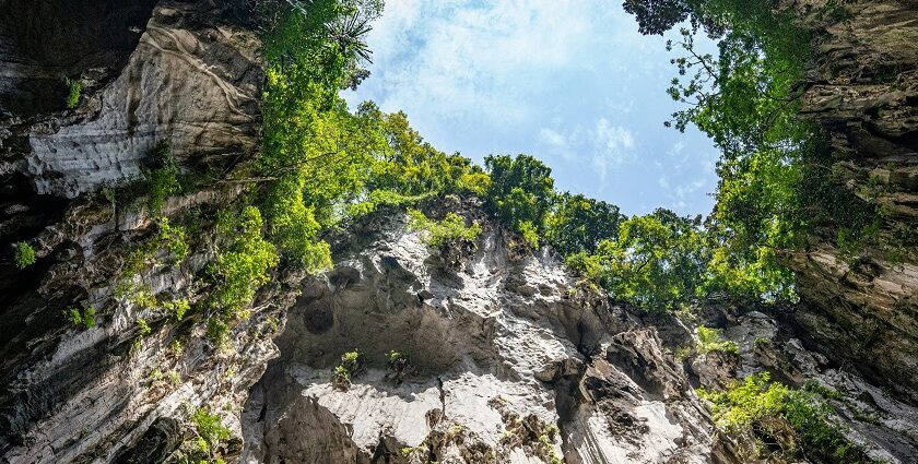 Exploring Gua Kelam cave is one of the most unique things to do in Kuala Perlis.