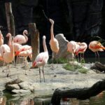 Exploring vibrant wildlife is one of the most exciting things to do in Leipzig.