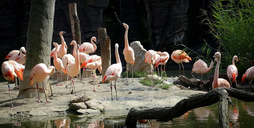 Exploring vibrant wildlife is one of the most exciting things to do in Leipzig.