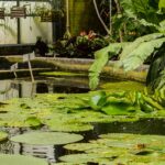Exploring the peaceful garden is one of the most refreshing things to do in Leuven.