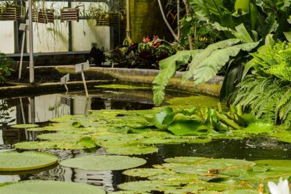 Exploring the peaceful garden is one of the most refreshing things to do in Leuven.