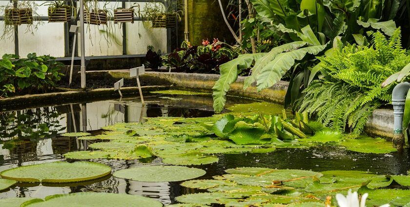 Exploring the peaceful garden is one of the most refreshing things to do in Leuven.