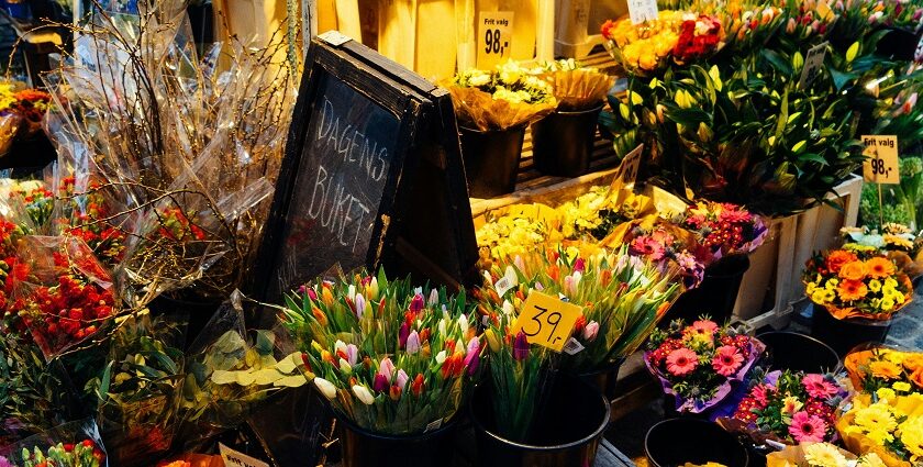 Browsing vibrant blooms at Columbia Road flower market is one of the best things to do in London UK in October.