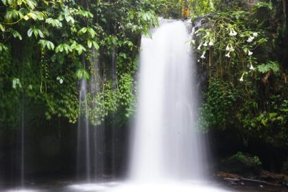Chasing Sekumpul Waterfall is one of the most breathtaking things to do in Lovina.
