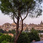 Panoramic view of Macerata with a tree in the foreground and historic buildings, one of the best things to see in Macerata Italy.