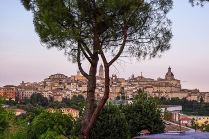 Panoramic view of Macerata with a tree in the foreground and historic buildings, one of the best things to see in Macerata Italy.
