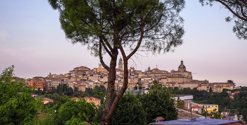 Panoramic view of Macerata with a tree in the foreground and historic buildings, one of the best things to see in Macerata Italy.