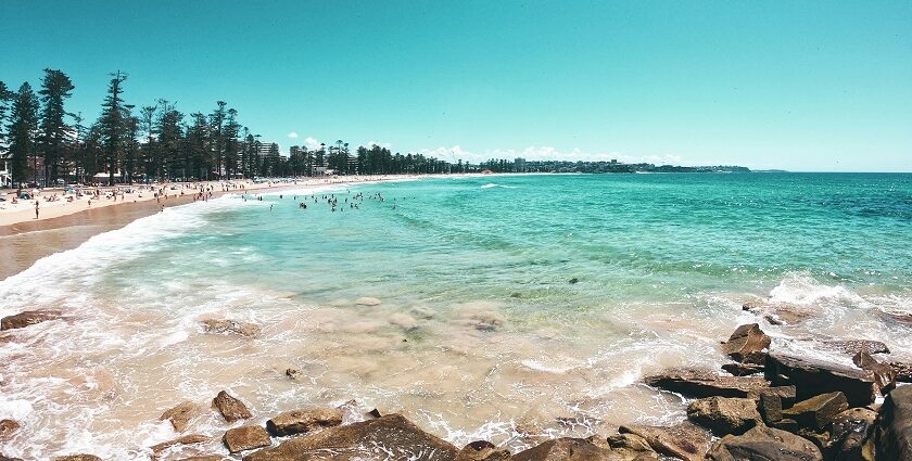 Relaxing at the iconic Manly Beach is one of the best things to do in Manly.
