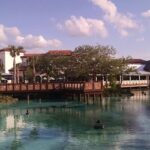 Exploring the lively Disney Springs is one of the most exciting things to do in Orlando at night.