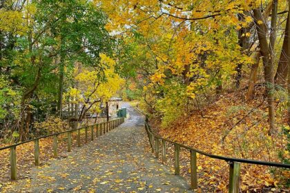 Strolling the scenic park trail is one of the most peaceful things to do in Pearl.