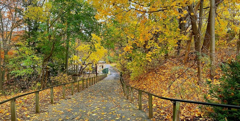 Strolling the scenic park trail is one of the most peaceful things to do in Pearl.