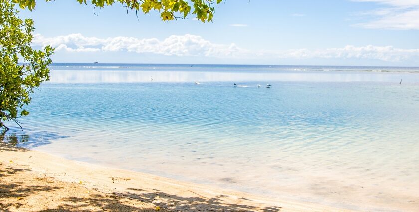 Coral View Beach in Utila offers stunning views and is a top spot for things to do in Utila.