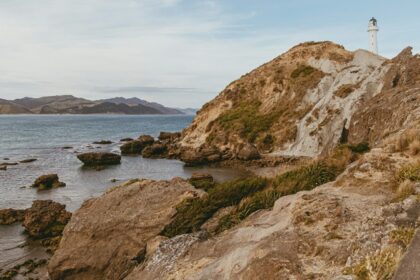 Castlepoint lighthouse and rugged coastline, a top choice of places to visit near Wellington.
