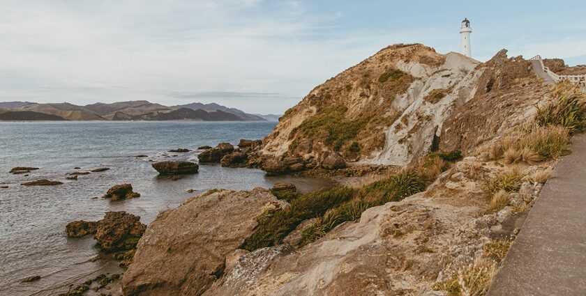 Castlepoint lighthouse and rugged coastline, a top choice of places to visit near Wellington.