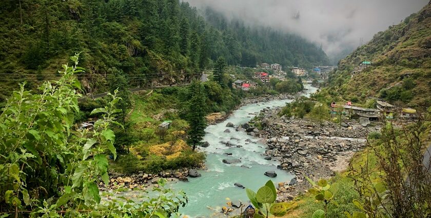 Serene river flowing through lush greenery in Kasauli, among places to visit near Chandigarh in winters.