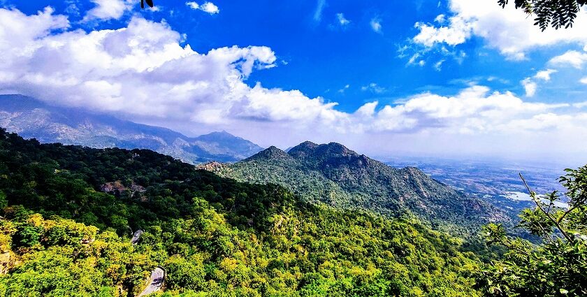 Mount Abu green mountains scenic view showing how to reach Delhi to Mount Abu.