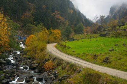 Wooden bridge clinging to a rocky cliff above a fast-flowing river in lush green forest