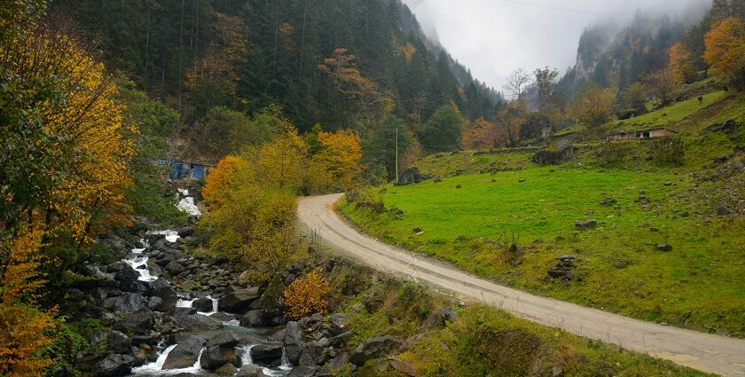 Wooden bridge clinging to a rocky cliff above a fast-flowing river in lush green forest