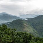 Scenic view of Solan hills and greenery, a peaceful spot among places to visit near Chandigarh for 2 days.