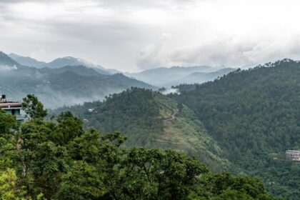Scenic view of Solan hills and greenery, a peaceful spot among places to visit near Chandigarh for 2 days.