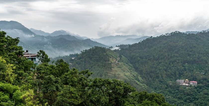 Scenic view of Solan hills and greenery, a peaceful spot among places to visit near Chandigarh for 2 days.