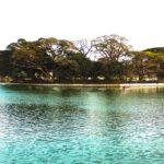 Scenic view of Ulsoor Lake with calm waters and trees, one of the best places to visit near Domlur.