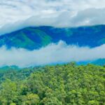 Ponmudi Hills with lush greenery, one of the top places to visit near Kilimanoor.