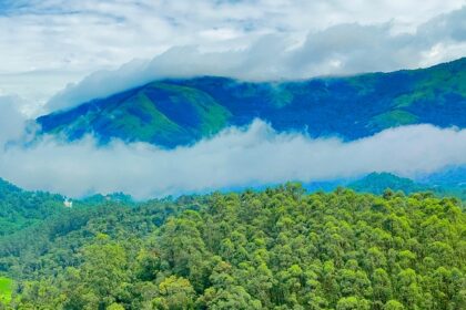 Ponmudi Hills with lush greenery, one of the top places to visit near Kilimanoor.