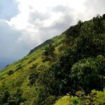 Lush green mountains and scenic landscape in Chikmagalur highlighting what is Chikmagalur famous for.
