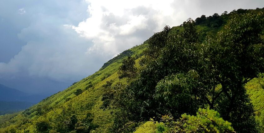 Lush green mountains and scenic landscape in Chikmagalur highlighting what is Chikmagalur famous for.