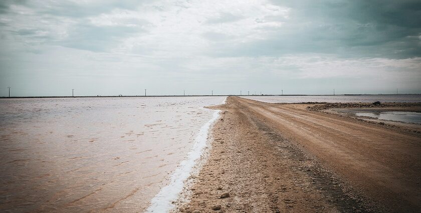 Salt marsh landscape of Rann of Kutch showcasing what is Rann of Kutch famous for.